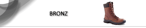 Bronz